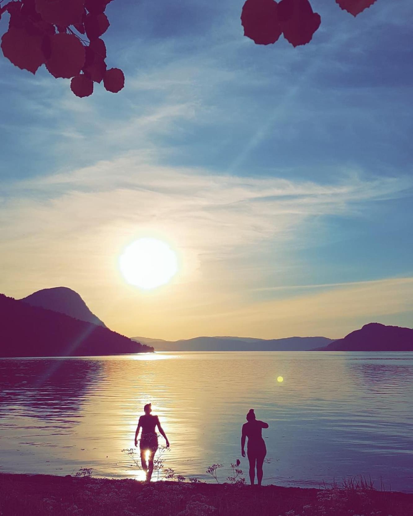 Fugelvagen, Cabins And Glamping Alvund المظهر الخارجي الصورة